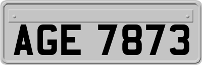 AGE7873