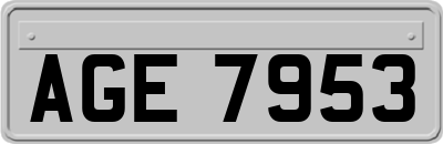 AGE7953