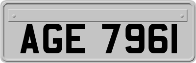 AGE7961