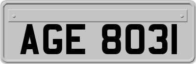 AGE8031