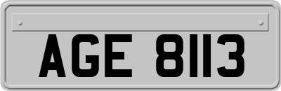 AGE8113
