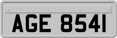 AGE8541
