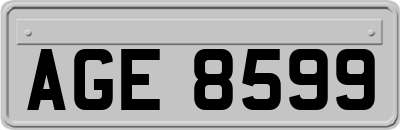 AGE8599