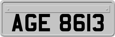 AGE8613