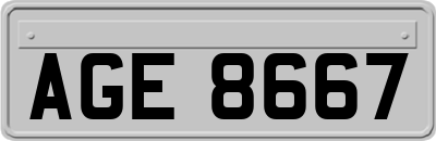 AGE8667