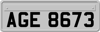 AGE8673