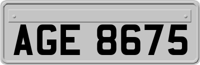 AGE8675