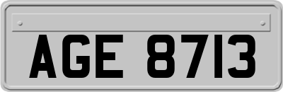 AGE8713