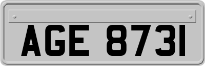 AGE8731