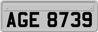 AGE8739