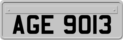 AGE9013