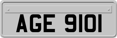AGE9101
