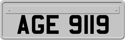AGE9119
