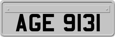 AGE9131