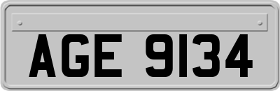 AGE9134
