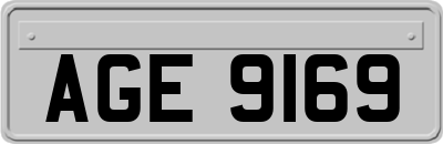 AGE9169