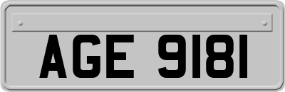 AGE9181