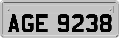 AGE9238