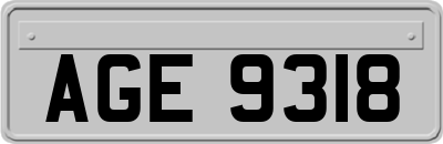 AGE9318