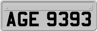 AGE9393
