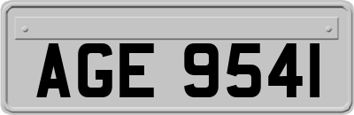 AGE9541