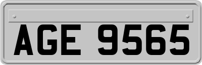 AGE9565