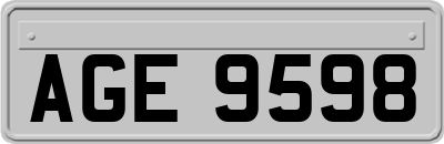 AGE9598