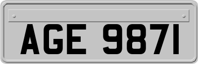 AGE9871