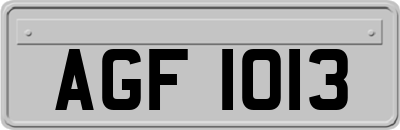 AGF1013