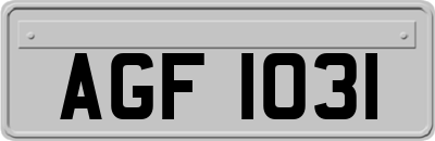 AGF1031