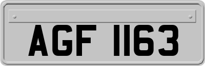 AGF1163