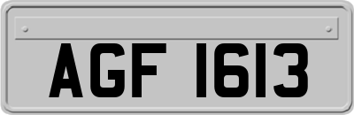 AGF1613