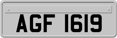 AGF1619