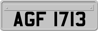 AGF1713