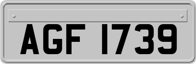 AGF1739