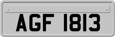 AGF1813