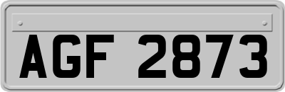 AGF2873