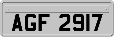 AGF2917