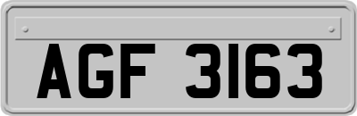 AGF3163