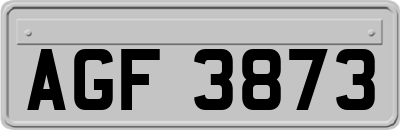 AGF3873