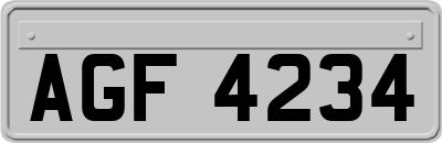 AGF4234
