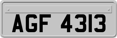 AGF4313