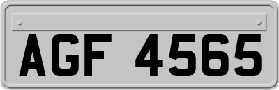 AGF4565