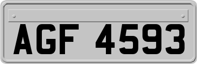 AGF4593