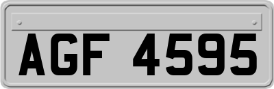 AGF4595