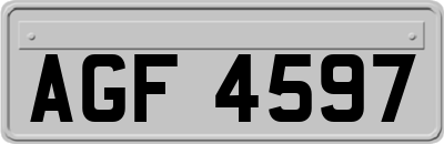 AGF4597