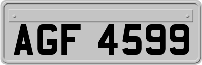 AGF4599