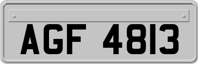 AGF4813