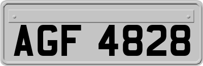 AGF4828