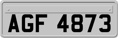 AGF4873